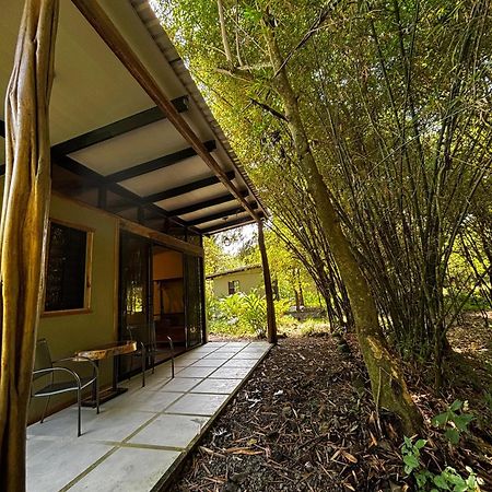 Bamboo River Lodge Horquetas 外观 照片